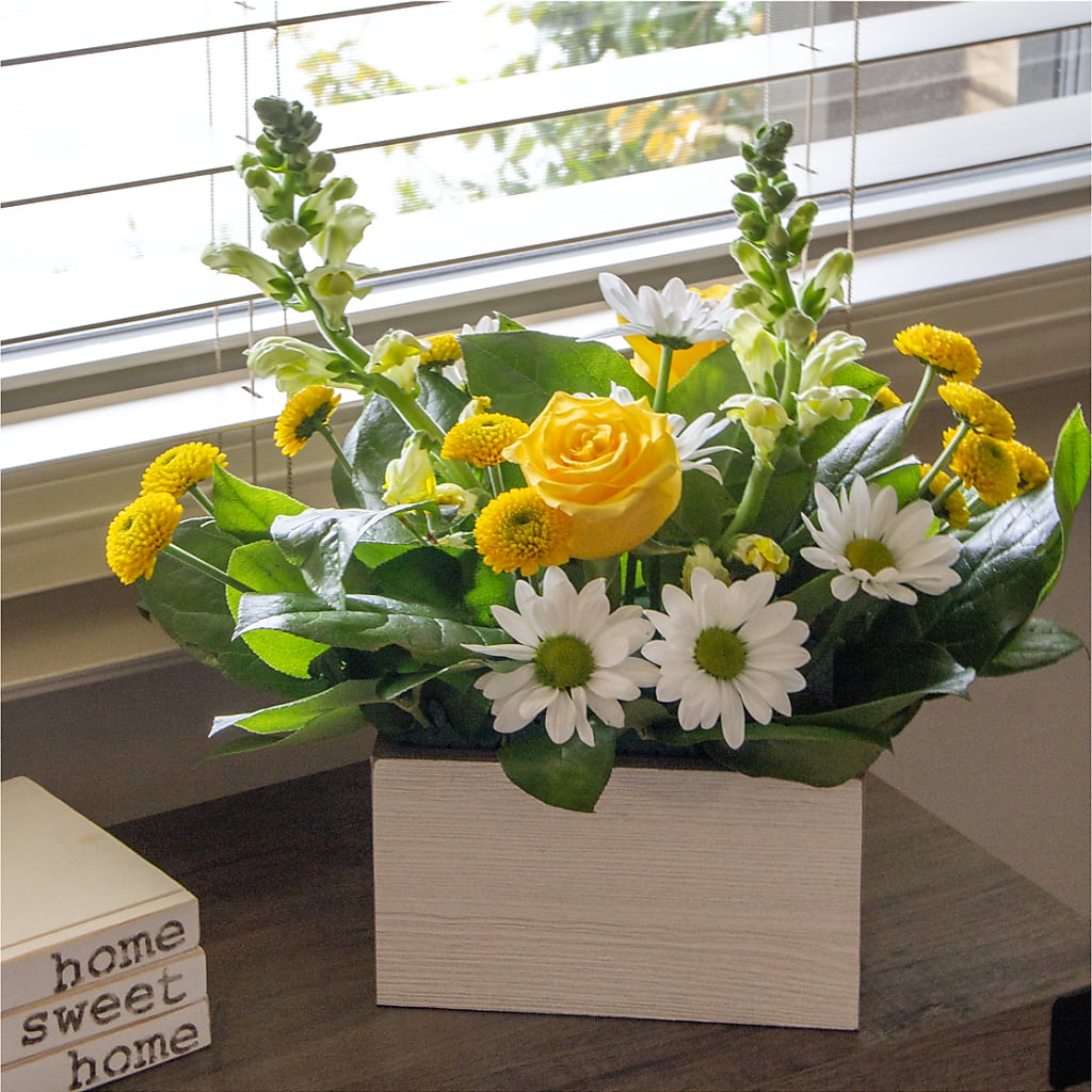 Sun Salutation Box Bouquet – Margartia Flowers, Jersey City NJ