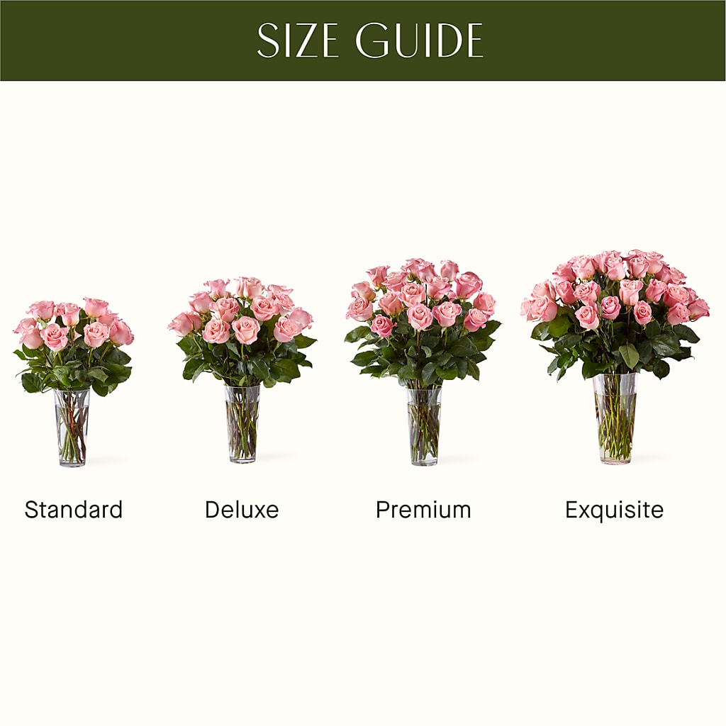 Long Stem Pink Rose Bouquet – Margartia Flowers, Jersey City NJ