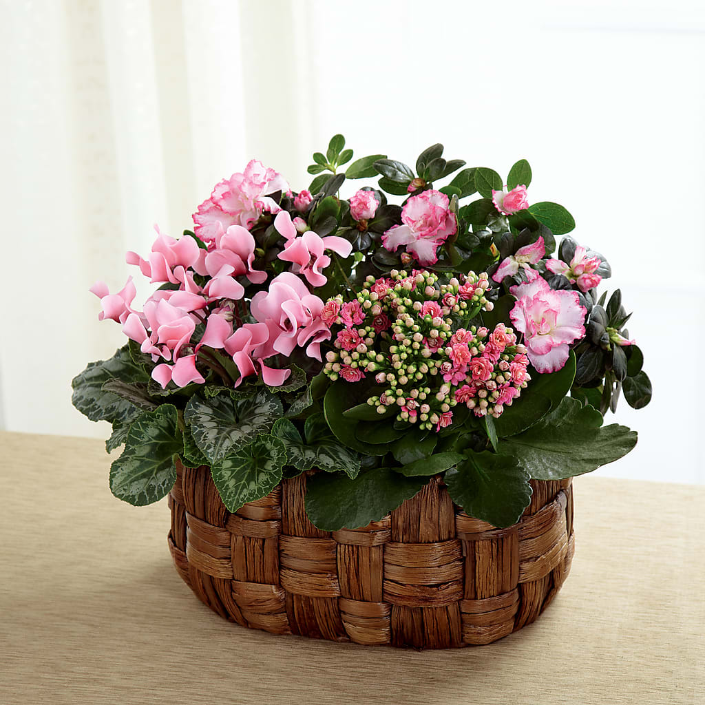 Pink Assortment –  Margartia Flowers, Jersey City NJ