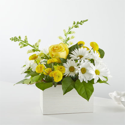 Sun Salutation Box Bouquet –  Margartia Flowers, Jersey City NJ