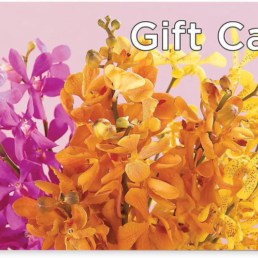 Gift Card –  Margartia Flowers, Jersey City NJ