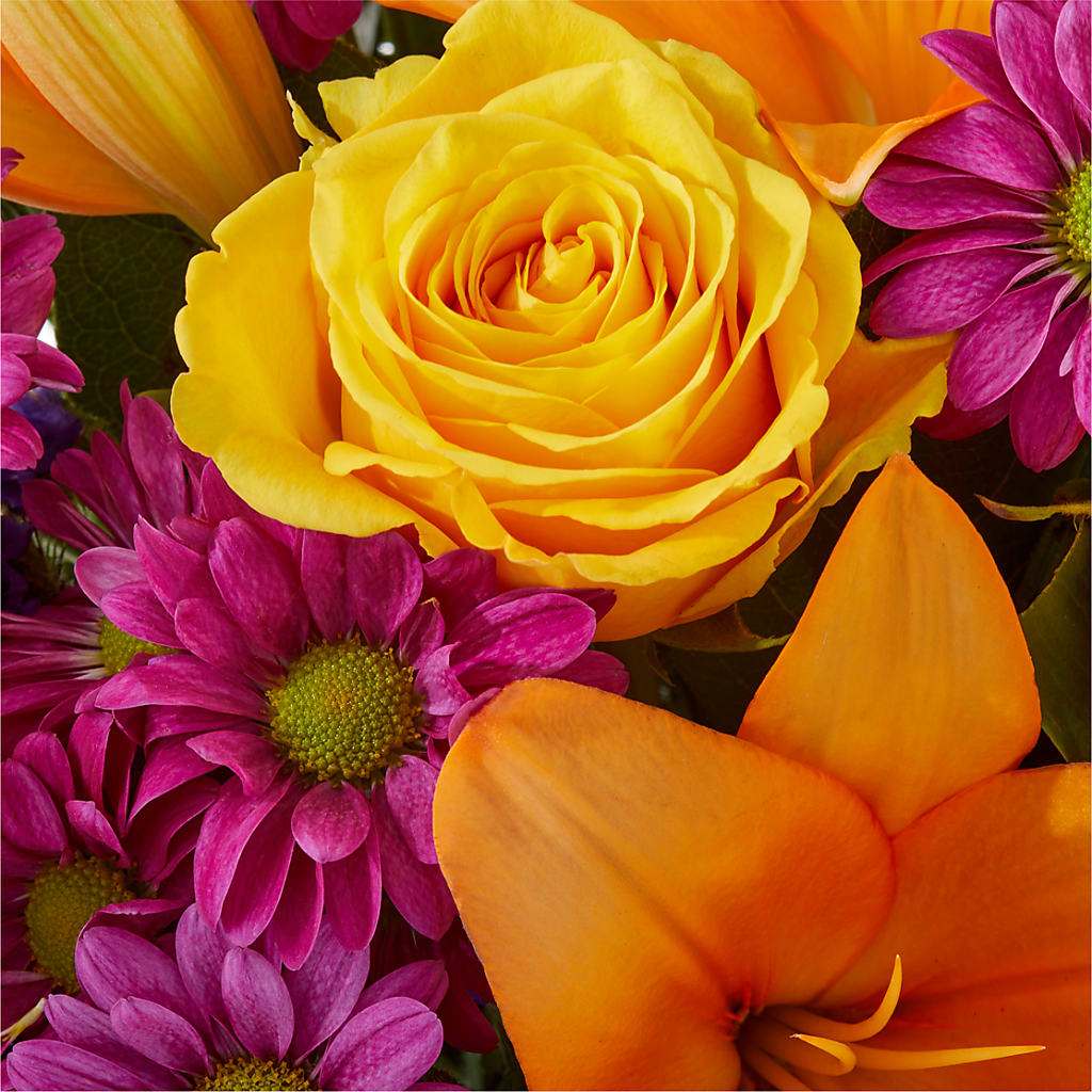 Colorful Visions Bouquet –  Margartia Flowers, Jersey City NJ