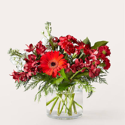 Holidaisy Bouquet –  Margartia Flowers, Jersey City NJ