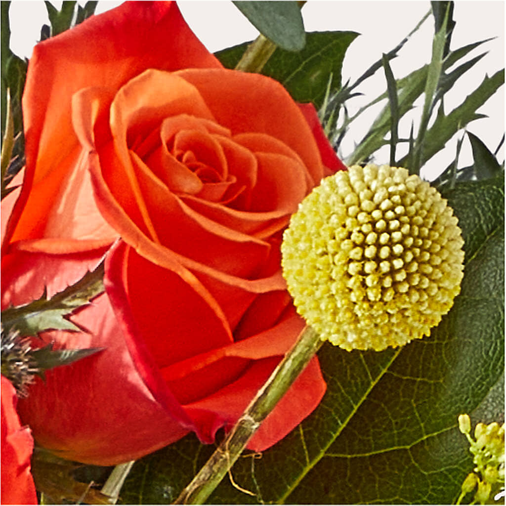 Disco Bouquet –  Margartia Flowers, Jersey City NJ