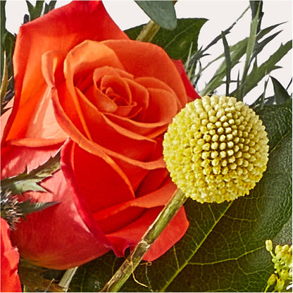 Disco Bouquet –  Margartia Flowers, Jersey City NJ