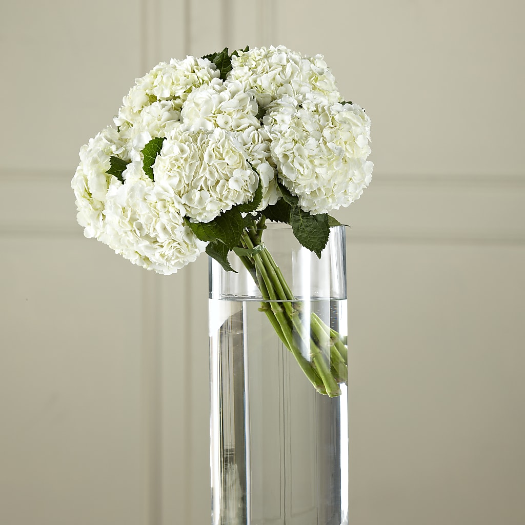 White Hydrangea Hand-Tied Bouquet –  Margartia Flowers, Jersey City NJ