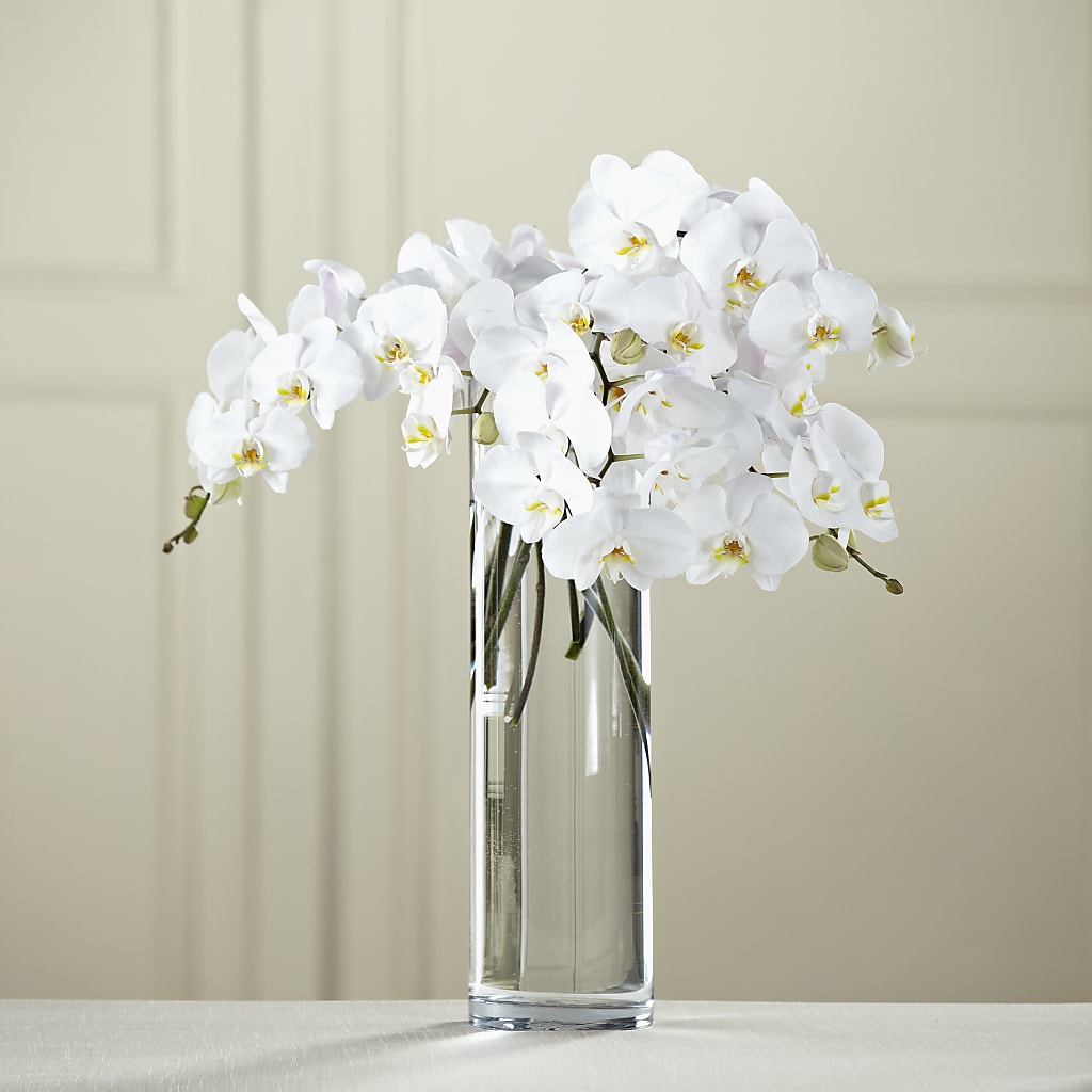 White Phalaenopsis Bouquet –  Margartia Flowers, Jersey City NJ