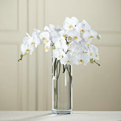 White Phalaenopsis Bouquet –  Margartia Flowers, Jersey City NJ